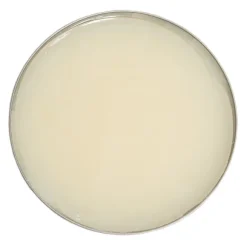 Cera per Lucidatura a Specchio punta Scarpe in Pelle- Saphir Medaille D'Or Mirror Gloss