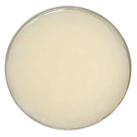 Cera per Lucidatura a Specchio punta Scarpe in Pelle- Saphir Medaille D'Or Mirror Gloss